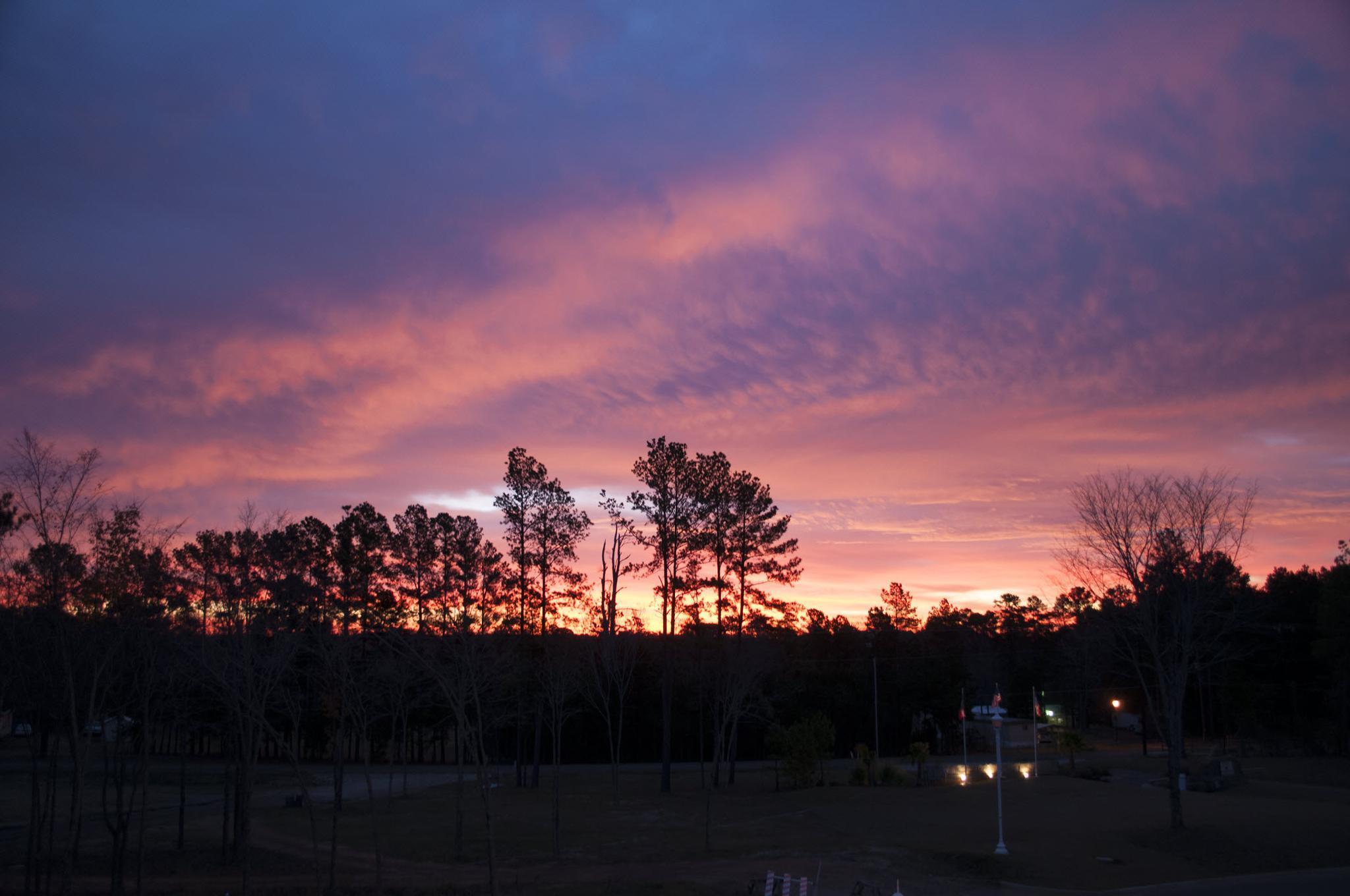 Holiday Inn Club Vacations Villages Resort At Lake Palestine Flint Bagian luar foto
